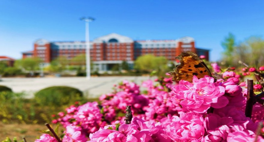 辽宁工程技术大学2026年单独考试招收攻读硕士学位研究生招生简章