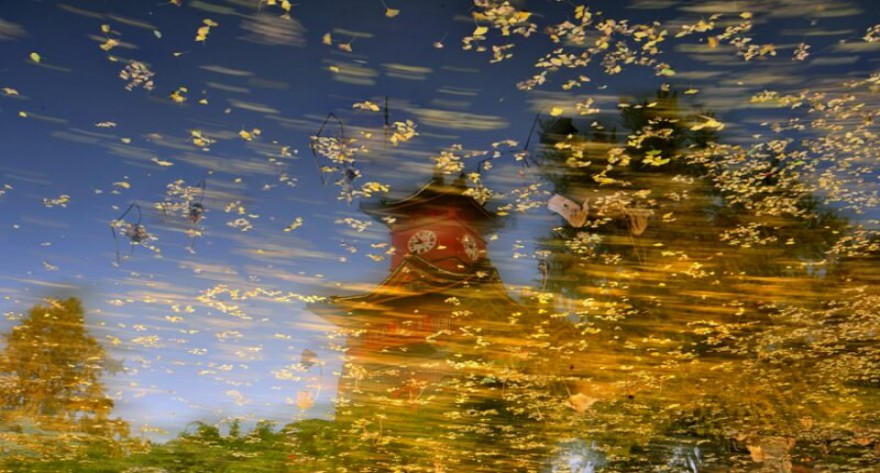 四川大学报考点2026年全国硕士研究生招生考试网上报名公告