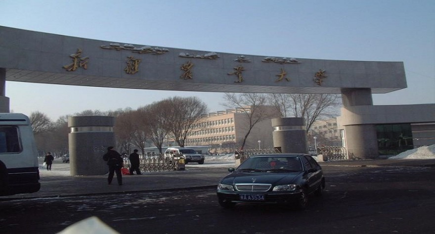 新疆农业大学2026年少数民族高层次骨干人才计划研究生招生公告