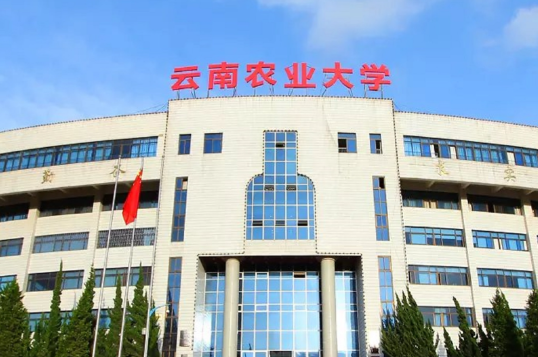 云南农业大学经济管理学院2026年接收优秀应届本科毕业生免试攻读研究生实施细则