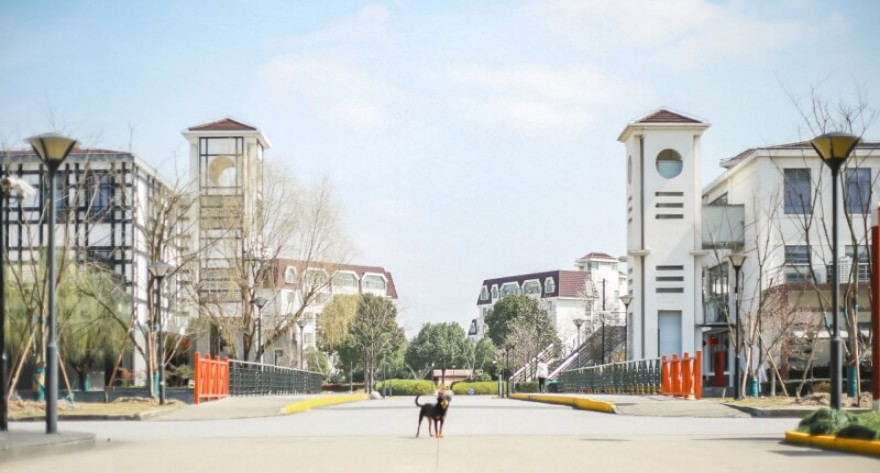 华东师范大学与上海人工智能研究院科研攻关合作签约仪式举行