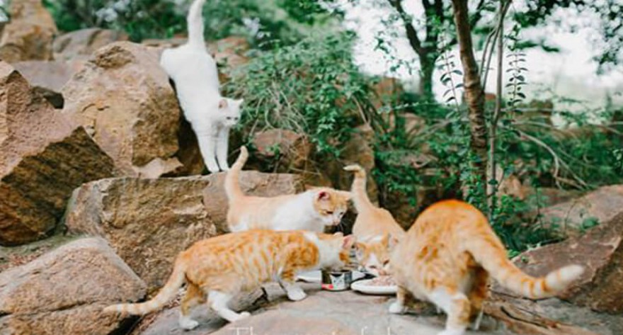 关于开展2025年“固铨档案奖、助学金”评选工作的通知