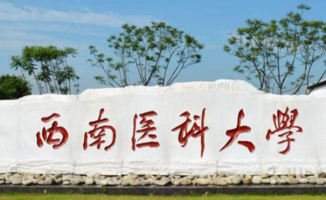 西南医科大学报考点  2026年全国硕士研究生招生考试  网上报名公告