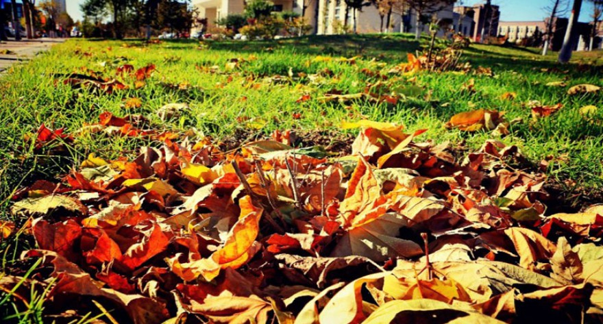 山西医科大学2026年招收攻读硕士学位研究生考生报名信息核对提醒通知（一）