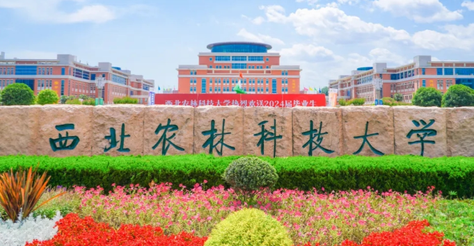 西北政法大学报考点2026年网报公告