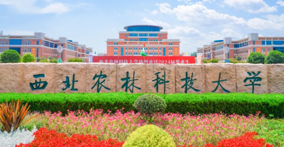 西北政法大学报考点2026年网报公告