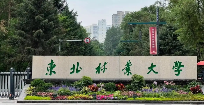 东北林业大学报考点2026年全国硕士研究生招生考试网上确认公告