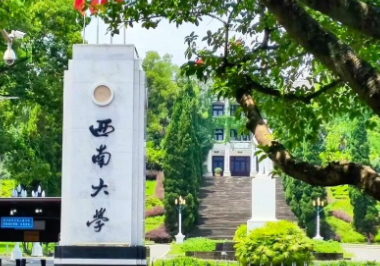 2026年全国硕士研究生招生考试西南大学考点关于报名信息网上确认的公告