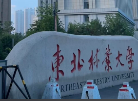 东北林业大学2026年硕士研究生招生考试关于学籍学历校验未通过或提交相关佐证材料的提示