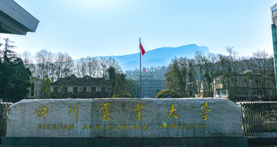 四川农业大学2026年硕士研究生招生考试网上报名须知