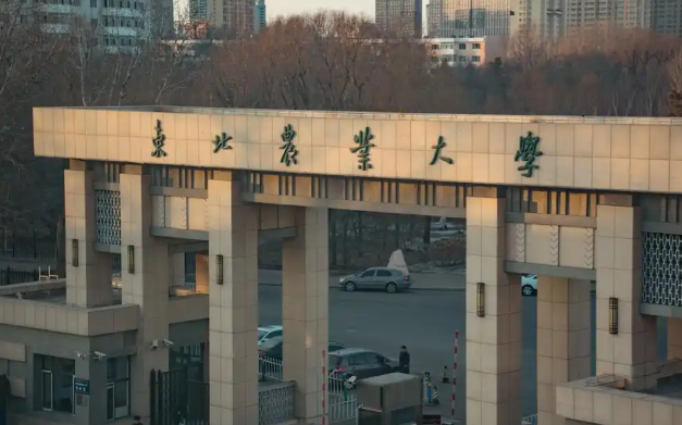 东北农业大学2026年科研项目博士研究生专项招生简章