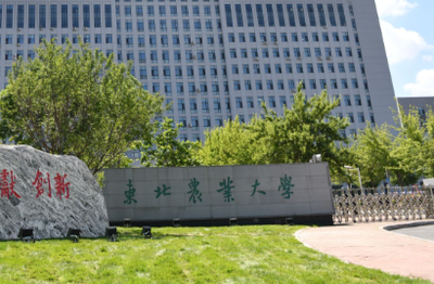 东北农业大学考点2026年全国硕士研究生招生考试网上确认公告