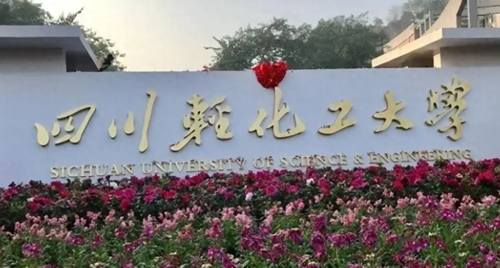 四川轻化工大学宜宾校区考点2026年网上确认公告