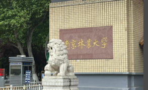 2026年全国硕士研究生招生考试南京林业大学报考点网上确认须知及流程