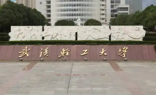 2026年武汉轻工大学报考点网上确认公告