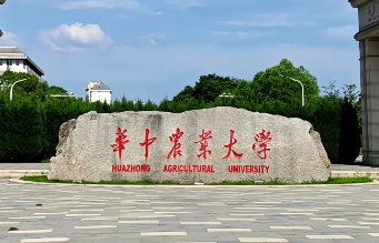 华中农业大学2026年非全日制MBA网报指南