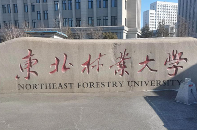 东北林业大学2025年硕士研究生招生简章
