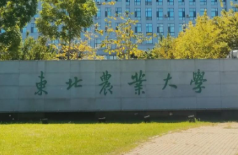 东北农业大学工商管理硕士（MBA）招生简章