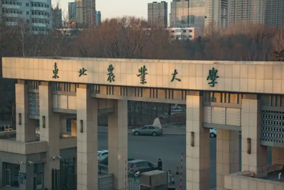 东北农业大学2025年硕士研究生招生简章