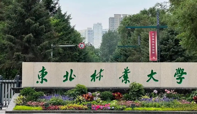 东北林业大学2025年MBA招生简章