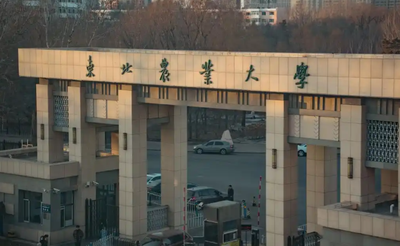 东北农业大学2026年科研项目博士研究生专项招生简章