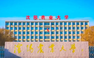 沈阳农业大学关于认领2025年研究生招生工作量的通知