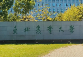 东北农业大学考点2026年全国硕士研究生招生考试网上确认公告