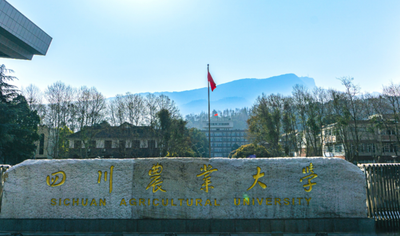 四川农业大学关于开展2025-2026学年校园地助学贷款工作的通知