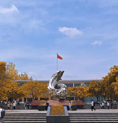 西南财经大学考点2026年全国硕士研究生招生考试网上确认公告