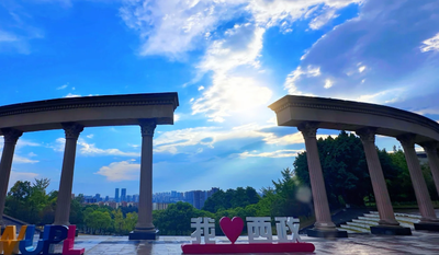 关于做好西南政法大学2025年度研究生科研创新通知