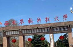 西北农林科技大学人文社会发展学院关于2026年博士研究生“申请-审核”制招生工作的通知