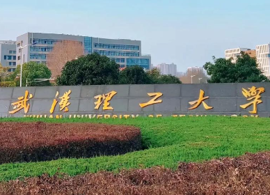 武汉理工大学关于开展2024级全日制研究生指导委员会双选工作的通知