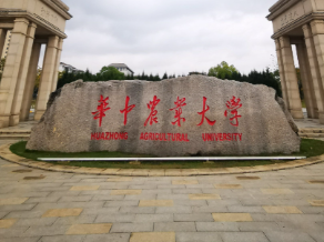 2025年华中农业大学关于对超过最长学习年限学历教育研究生进行分类管理的通知