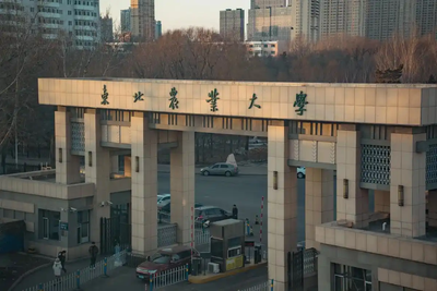 东北农业大学关于开展2025年度研究生精品课程建设项目结题与申报工作的通知