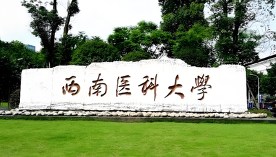 西南医科大学公共管理硕士（MPA）项目怎么样？一文读懂