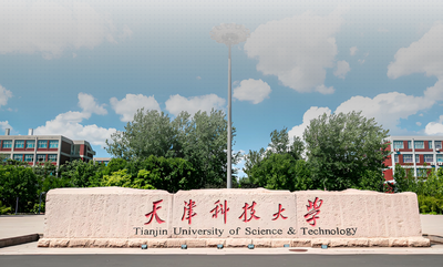 天津科技大学2026年MBA/MPA/MEM复试科目考试大纲汇总发布