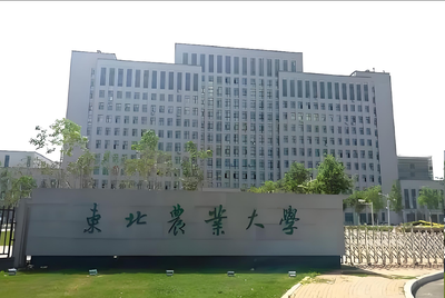 东北农业大学2026年硕士研究生复试信息汇总