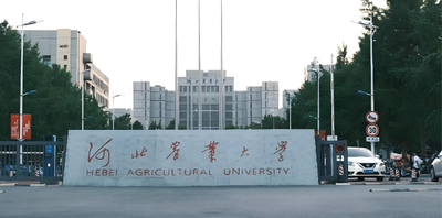 2027河北农业大学MPAcc复试线执行A类线